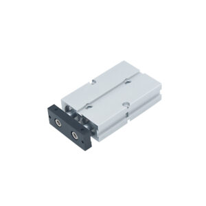 TN Twin-Rod Cylinder