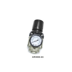 Type A Series Pneumatic Pressure Regulator AR2000-02 & AR3000-03